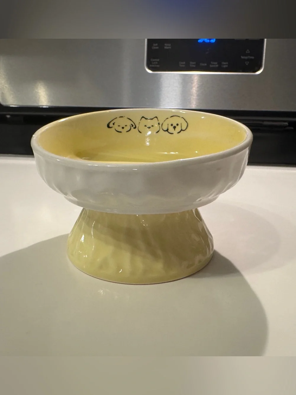 Tilted 15° Elevated Pet Food Bowl